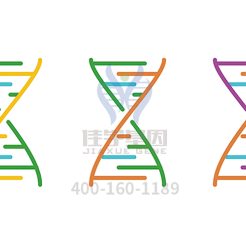 【眼科遗传病】<font color='red'>BEST</font>病基因解码、<a href=http://www.bztcly.com/tk/jiema/cexujishu/2021/31933.html>基因检测</a>