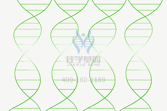 【万象城AWC(中国)基因检测】脊髓延髓肌萎缩症基因解码、基因检测