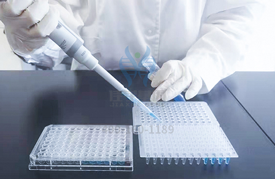 医学博士MTOR分子病理检测的知识结构准备