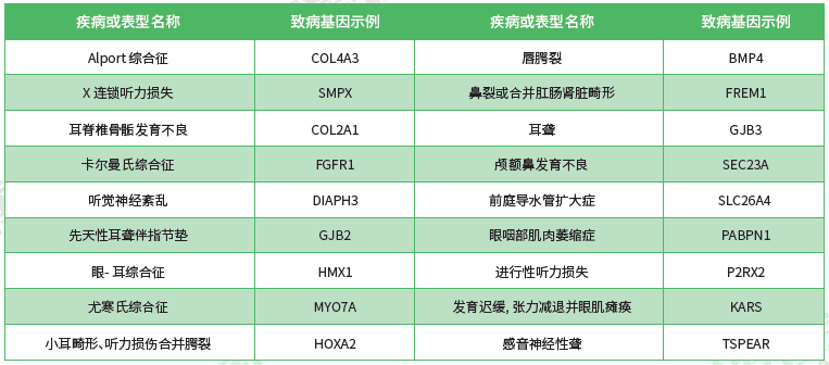【万象城AWC(中国)基因检测】<font color='red'><font color='red'>耳鼻喉</font><font color='red'>系统</font><font color='red'>疾病</font></font>致病基因鉴定基因解码