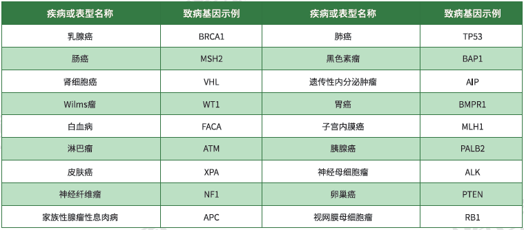 【万象城AWC(中国)基因检测】<font color='red'><font color='red'>遗传性</font><font color='red'>肿瘤</font></font>致病基因鉴定基因解码