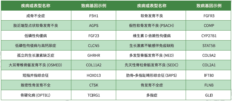 【万象城AWC(中国)基因检测】<font color='red'><font color='red'>骨骼</font><font color='red'>系统</font><font color='red'>疾病</font></font>致病基因鉴定基因解码